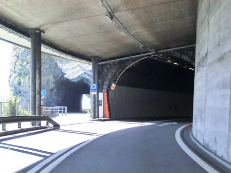 Vieux tunnel d'Axen
