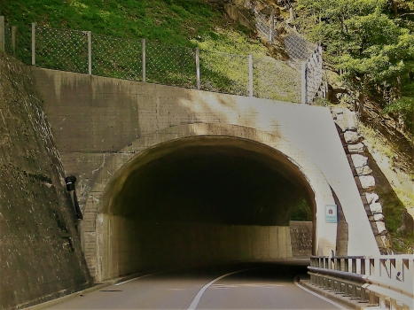 Bodmental Tunnel southern portal