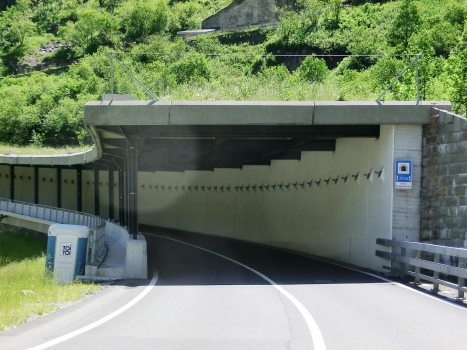 Bruggwaldboden-Fodegg Tunnel northern portal