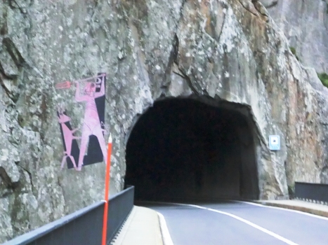Bruggwaldboden-Fodegg Tunnel southern portal