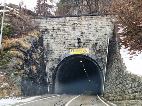 Dazio Grande Tunnel