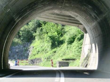 Dorni Tunnel