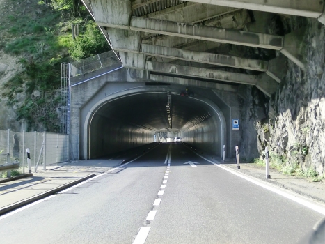 Schiefernegg Tunnel southern portal