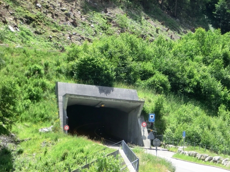 Steglaui Tunnel northern portal