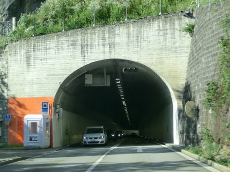 Stutzegg Tunnel southern portal