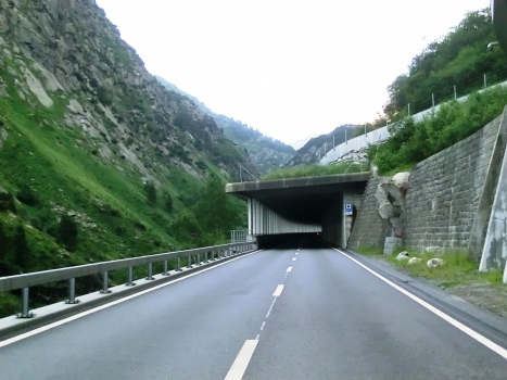 Tunnel Tanzenbein