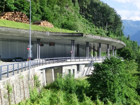 Tunnel de Tellsplatte
