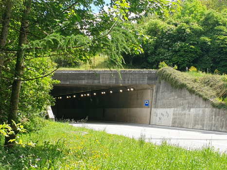 Tunnel de La Douay II