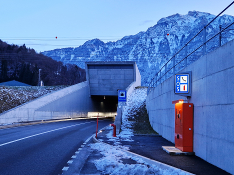 Tunnel Wilderswil