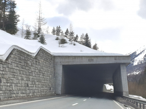 Raschisch Road-Tunnel