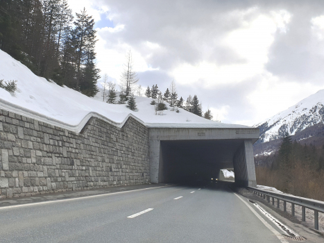 Tunnel de Raschisch Road