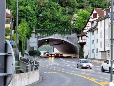 Tunnel de Schlossberg