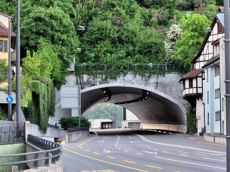Tunnel de Schlossberg