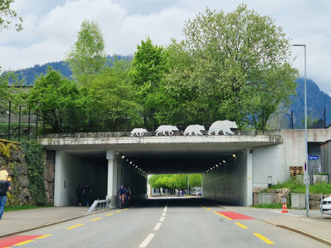 Tunnel Tierpark Goldau