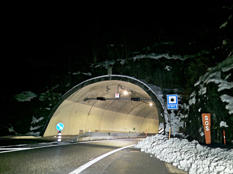 Tunnel Soliwald