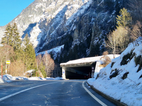 Tunnel de Mittal 1