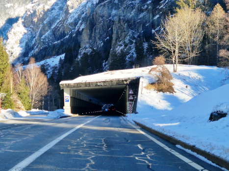 Tunnel de Mittal 1