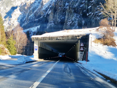 Tunnel Mittal 1