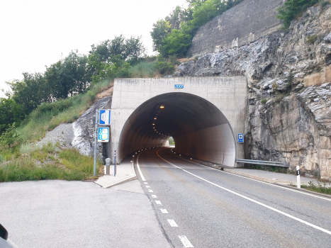 Tunnel de Leuk