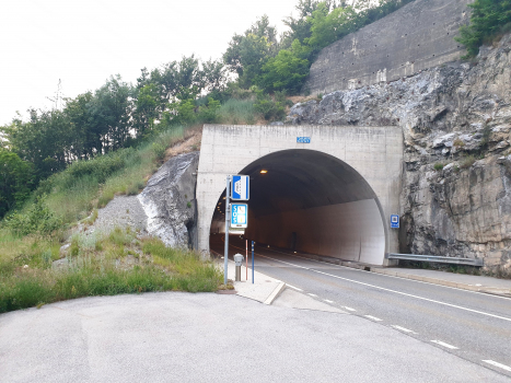 Tunnel de Leuk