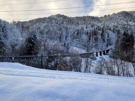 Niesenbahn