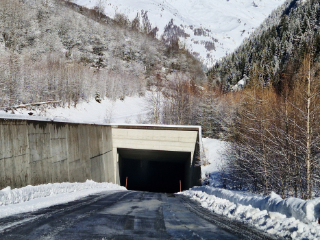 Portal Ferden Tunnel