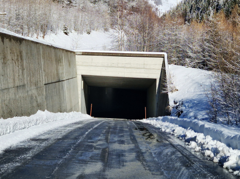 Portal Ferden Tunnel