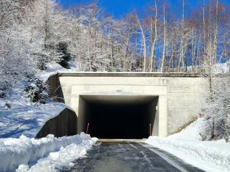 Portal Ferden Tunnel