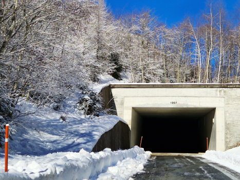 Portal Ferden Tunnel