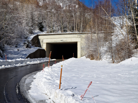 Portal Ferden Tunnel