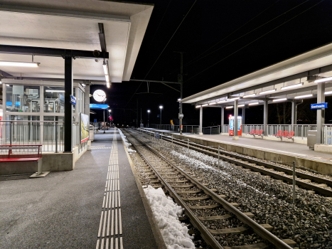 Sachseln Station