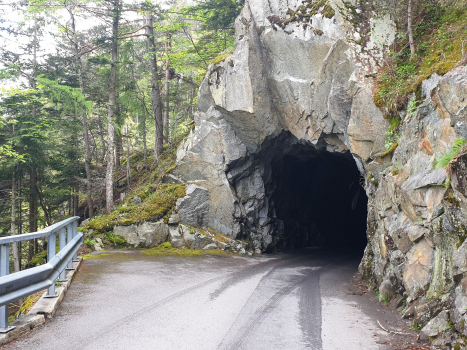 Van I Tunnel
