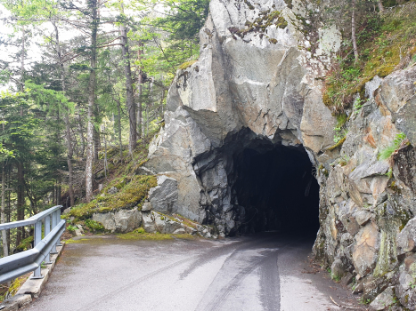 Tunnel de Van I