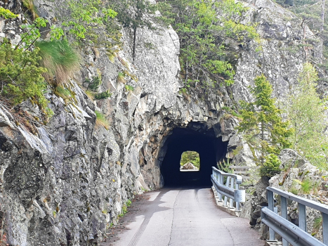 Van II-Tunnel