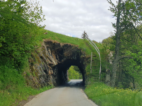 Van III-Tunnel