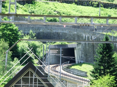 Färschen Tunnel northern portal