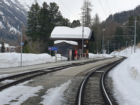 Surovas Station