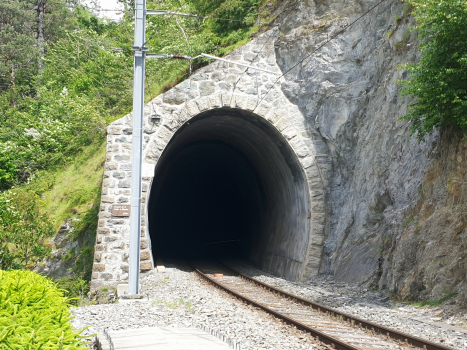 Tunnel de Crete à Martin