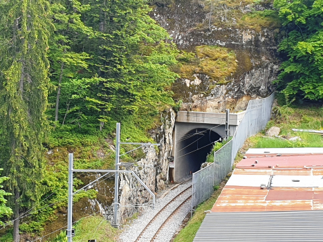 Tunnel de Marecottes