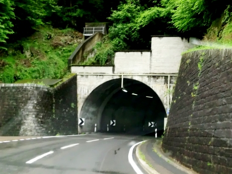 Tunnel Verzasca 1