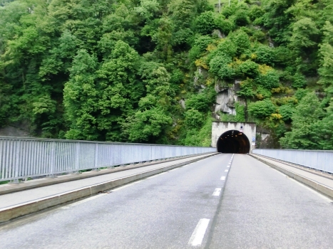 Tunnel Verzasca 7