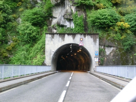 Tunnel Verzasca 7