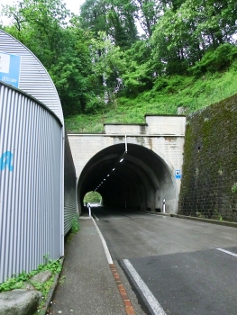 Tunnel de Verzasca 3