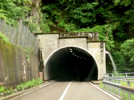 Tunnel Verzasca 4