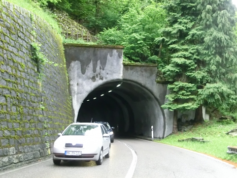 Tunnel Verzasca 5