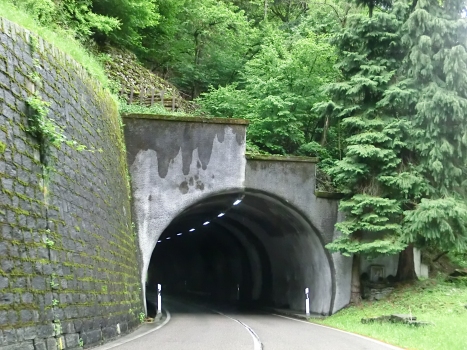 Tunnel de Verzasca 5