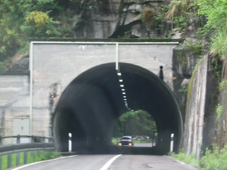 Tunnel Verzasca 5