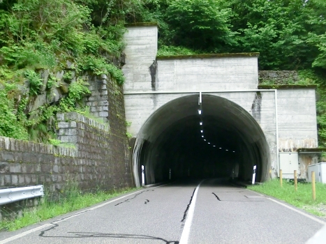 Tunnel de Verzasca 6
