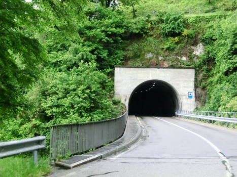 Tunnel de Verzasca 6