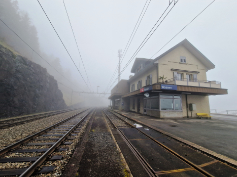 Wassen Station